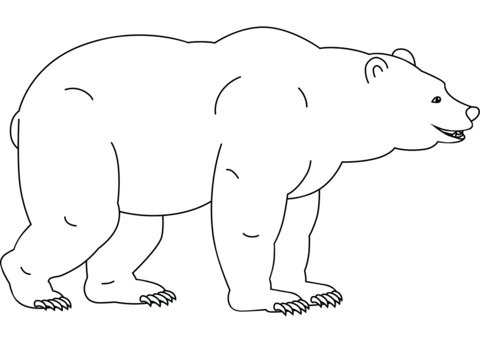 Funny Bear Coloring Page